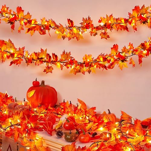 Ciskotu Herbst Ahornblätter Lichterkette, 2.2+0.8M 31Licht Herbstgirlande Lichterkette Halloween Deko mit Stecker, Herbst Girlande dekoration Innen und Außen, für Erntedankfest, Halloween, Party Ciskotu Herbst Ahornblätter Lichterkette, 2.2+0.8M 31Licht Herbstgirlande Lichterkette Halloween Deko mit Stecker, Herbst Girlande dekoration Innen und Außen, für Erntedankfest, Halloween, Party von Ciskotu