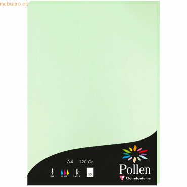 10 x Clairefontaine Papier Pollen A4 120g 50 Blatt grün 10 x Clairefontaine Papier Pollen A4 120g 50 Blatt grün von Clairefontaine
