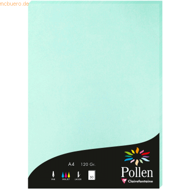 10 x Clairefontaine Papier Pollen A4 120g 50 Blatt jadegrün von Clairefontaine