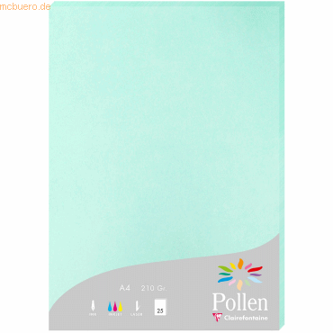 10 x Clairefontaine Papier Pollen A4 210g 25 Blatt jadegrün von Clairefontaine