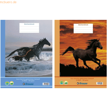 10 x Clairefontaine Zeichenblock A3 100g/qm geheftet 10 Blatt 10 x Clairefontaine Zeichenblock A3 100g/qm geheftet 10 Blatt von Clairefontaine