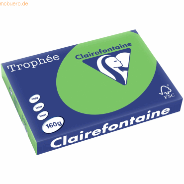 4 x Clairefontaine Kopierpapier Trophee A3 160g/qm VE=250 Blatt frühli von Clairefontaine