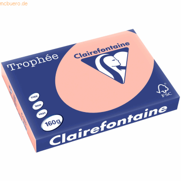 4 x Clairefontaine Kopierpapier Trophee A3 160g/qm VE=250 Blatt pfirsi von Clairefontaine