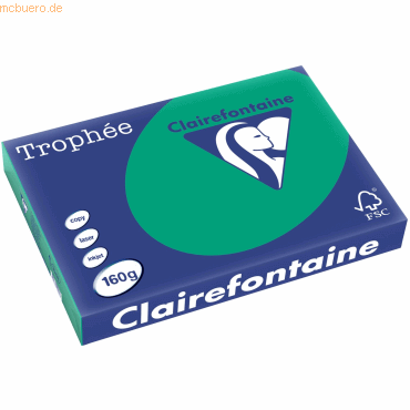 4 x Clairefontaine Kopierpapier Trophee A3 160g/qm VE=250 Blatt tannen 4 x Clairefontaine Kopierpapier Trophee A3 160g/qm VE=250 Blatt tannen von Clairefontaine