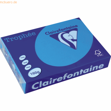 4 x Clairefontaine Kopierpapier Trophee A4 160g/qm VE=250 Blatt karibi 4 x Clairefontaine Kopierpapier Trophee A4 160g/qm VE=250 Blatt karibi von Clairefontaine
