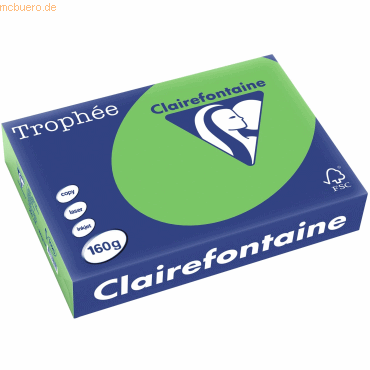 4 x Clairefontaine Kopierpapier Trophee A4 160g/qm VE=250 Blatt maigrü von Clairefontaine