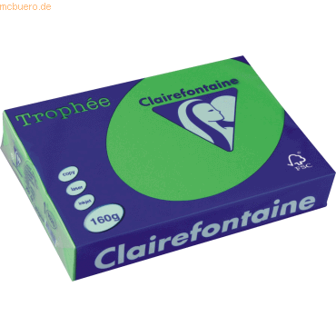 4 x Clairefontaine Kopierpapier Trophee A4 160g/qm VE=250 Blatt minze/ 4 x Clairefontaine Kopierpapier Trophee A4 160g/qm VE=250 Blatt minze/ von Clairefontaine