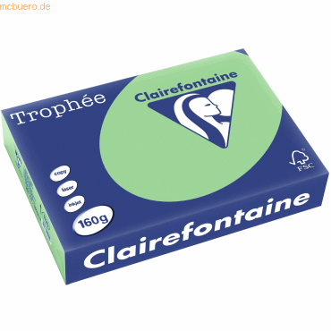 4 x Clairefontaine Kopierpapier Trophee A4 160g/qm VE=250 Blatt naturg 4 x Clairefontaine Kopierpapier Trophee A4 160g/qm VE=250 Blatt naturg von Clairefontaine