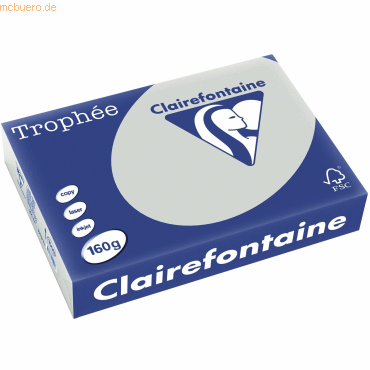 4 x Clairefontaine Kopierpapier Trophee A4 160g/qm VE=250 Blatt stahlg 4 x Clairefontaine Kopierpapier Trophee A4 160g/qm VE=250 Blatt stahlg von Clairefontaine