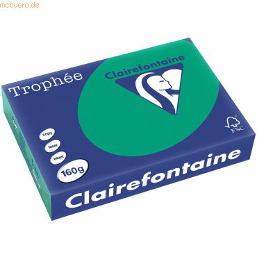 4 x Clairefontaine Kopierpapier Trophee A4 160g/qm VE=250 Blatt tannen von Clairefontaine