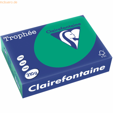 4 x Clairefontaine Kopierpapier Trophee A4 210g/qm VE=250 Blatt tannen 4 x Clairefontaine Kopierpapier Trophee A4 210g/qm VE=250 Blatt tannen von Clairefontaine