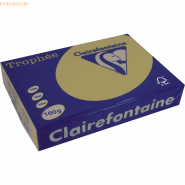 4 x Clairefontaine Kopierpapier Trophee Pastell A4 160g/qm goldgelb VE 4 x Clairefontaine Kopierpapier Trophee Pastell A4 160g/qm goldgelb VE von Clairefontaine