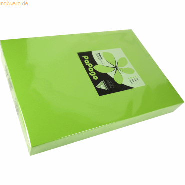 4 x Clairefontaine Multifunktionspapier Papago A3 420x297mm 160g/qm fr 4 x Clairefontaine Multifunktionspapier Papago A3 420x297mm 160g/qm fr von Clairefontaine