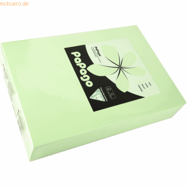 4 x Clairefontaine Multifunktionspapier Papago A4 210x297mm 160g/qm ap 4 x Clairefontaine Multifunktionspapier Papago A4 210x297mm 160g/qm ap von Clairefontaine
