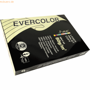 5 x Clairefontaine Kopierpapier Forever Evercolor DIN A3 hellgelb 80 g von Clairefontaine