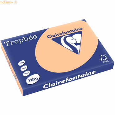 5 x Clairefontaine Kopierpapier Trophee A3 120g/qm VE=250 Blatt apriko von Clairefontaine