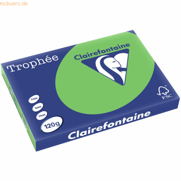 5 x Clairefontaine Kopierpapier Trophee A3 120g/qm VE=250 Blatt frühli von Clairefontaine