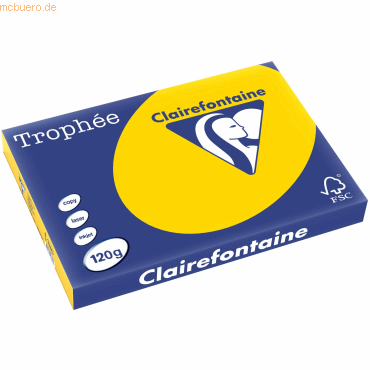 5 x Clairefontaine Kopierpapier Trophee A3 120g/qm VE=250 Blatt goldge von Clairefontaine