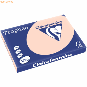 5 x Clairefontaine Kopierpapier Trophee A3 120g/qm VE=250 Blatt lachs von Clairefontaine