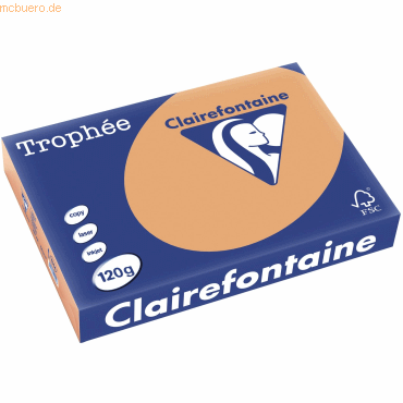 5 x Clairefontaine Kopierpapier Trophee A4 120g/qm VE=250 Blatt camel von Clairefontaine