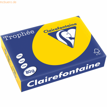 5 x Clairefontaine Kopierpapier Trophee A4 80g/qm VE=500 Blatt goldgel 5 x Clairefontaine Kopierpapier Trophee A4 80g/qm VE=500 Blatt goldgel von Clairefontaine