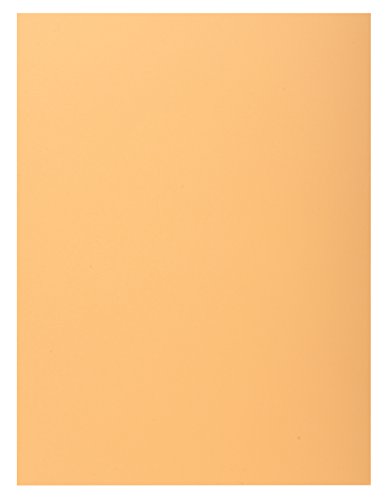 Exacompta 348025E 100er Pack Aktemappen SUPER DIN A4 mit einer Klappe Pastellfarbe orange von CLAIREFONTAINE