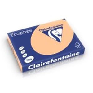 Clairefontaine 1996C - Ries mit 500 Blatt Druckerpapier / Kopierpapier Trophée, DIN A3 (29,7x42 cm), 80g, Aprikose Pastellfarbe, 1 Ries von Clairefontaine
