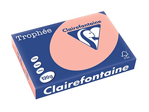 COPIER PAPER TROPHEE A4 120 GRAMS PEACH von Clairefontaine