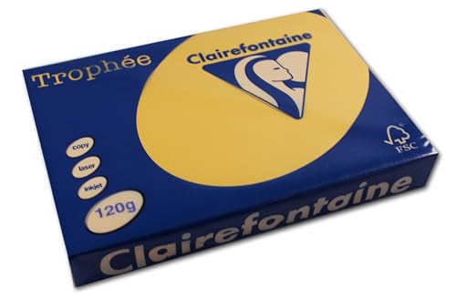 Clairalfa 1206C Universal-Papier Trophee, A4, 120 g/qm goldgelb von Clairefontaine