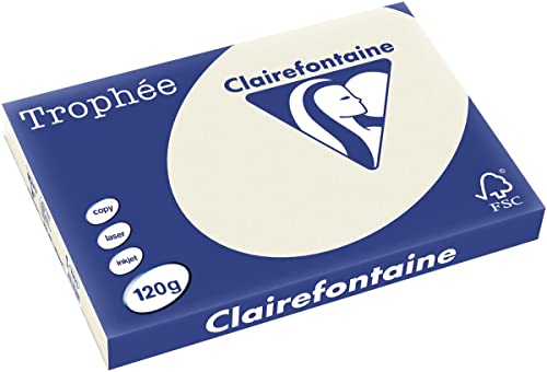 Clairbrunnen 1301 – 250 Blatt A3 120 g/m² – Perlgrau von Clairefontaine