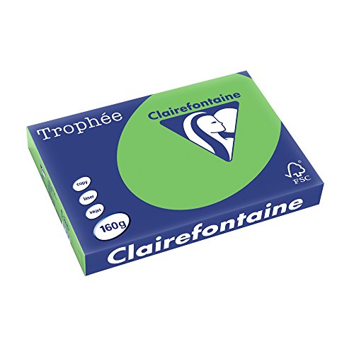 Clairefontaine 1035C - Ries Druckerpapier / Kopierpapier Trophee, intensive Farben, DIN A3, 160g, 250 Blatt, Minze, 1 Ries von Clairefontaine