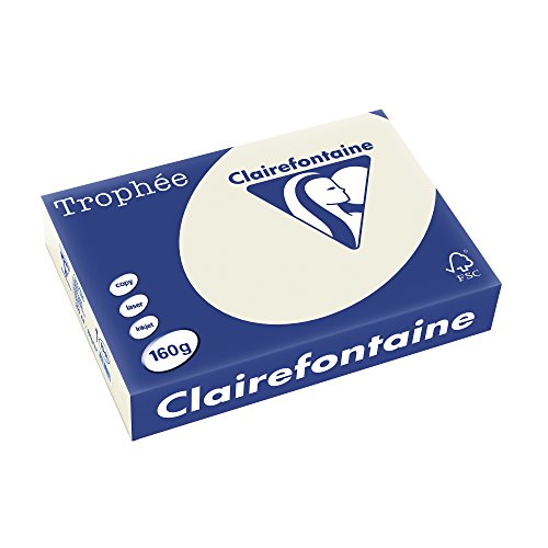 Clairefontaine 1041C - Ries Druckerpapier / Kopierpapier Trophee, intensive Farben, DIN A4, 160g, 250 Blatt, Perlgrau, 1 Ries von Clairefontaine