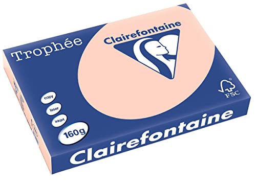 Clairefontaine 1111C - Ries mit 250 Blatt Druckerpapier / Kopierpapier Trophée, DIN A3 (29,7x42 cm), 160g, Lachs Pastellfarbe, 1 Ries von Clairefontaine