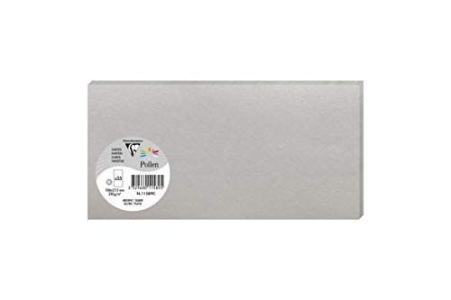 Clairefontaine 11589C Packung mit 25 Karten Pollen in Format DL, 210g 106 x 213mm, Silber Clairefontaine 11589C Packung mit 25 Karten Pollen in Format DL, 210g 106 x 213mm, Silber von Clairefontaine