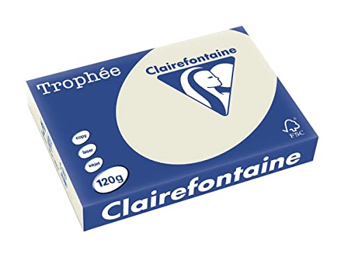 Clairefontaine 1201C - Ries mit 250 Blatt Druckerpapier / Kopierpapier Trophée, DIN A4 (21x29,7 cm), 120g, Perlgrau Pastellfarbe, 1 Ries von Clairefontaine