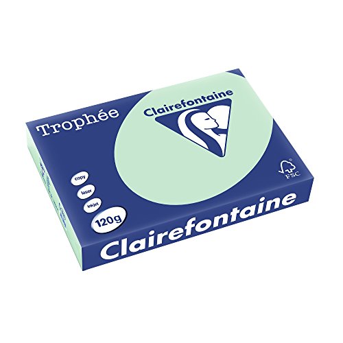Clairefontaine 1216C - Ries Druckerpapier / Kopierpapier Trophee, intensive Farben, DIN A4, 120g, 250 Blatt, Grün, 1 Ries von Clairefontaine