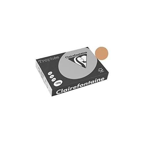 Clairefontaine 1244C - Ries mit 250 Blatt Druckerpapier / Kopierpapier Trophée, DIN A4 (21x29,7 cm), 120g, Kamelbraun Pastellfarbe, 1 Ries von Clairefontaine