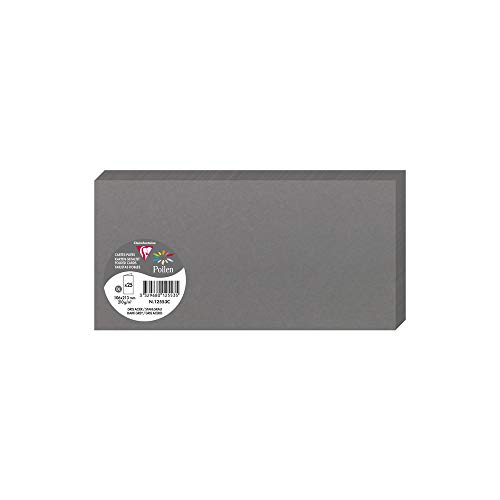 Clairefontaine 12553C - Packung mit 25 Doppelkarten Pollen Format DL 10,6x21,3 cm, gefaltet, 210g, ideal für Ihre Einladungen und Korrespondenz, Stahlgrau, 1 Pack von Clairefontaine