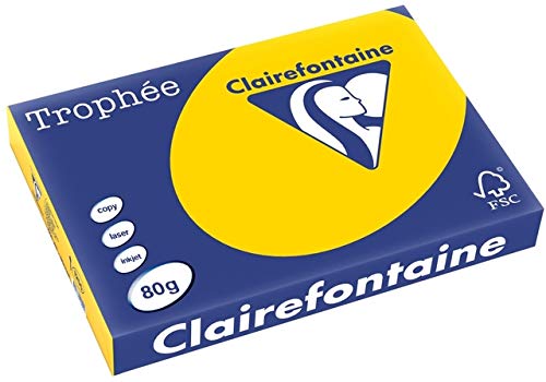 Clairefontaine 1255C - Ries mit 500 Blatt Druckerpapier / Kopierpapier Trophée, DIN A3 (29,7x42 cm), 80g, Goldgelb Pastellfarbe, 1 Ries von Clairefontaine