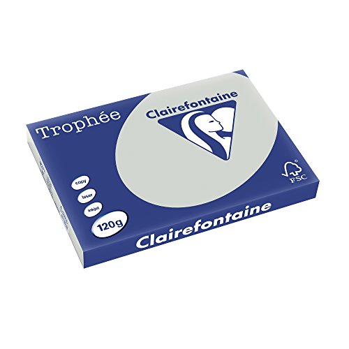 Clairefontaine 1274C - Ries Druckerpapier / Kopierpapier Trophee, Pastell Farben, DIN A3, 120g, 250 Blatt, Stahlgrau, 1 Ries von Clairefontaine