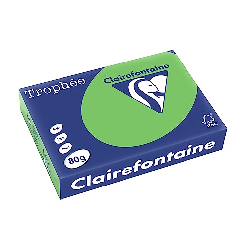 Clairefontaine 1875C - Karton mit 5 Ries Druckerpapier / Kopierpapier Trophee, intensive Farben, DIN A4, 80g, 500 Blatt x 5, Minz, 1 Karton von Clairefontaine