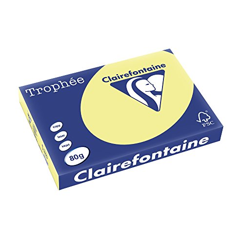 Clairefontaine 1890C - Ries Druckerpapier / Kopierpapier Trophee, Pastell Farben, DIN A3, 80g, 500 Blatt, Narzisse, 1 Ries Gelb von Clairefontaine
