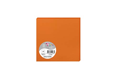 Clairefontaine 1986C Packung (mit 25 Karten Pollen, 135 x 135 mm) 210g, kapuzinerrot von Clairefontaine