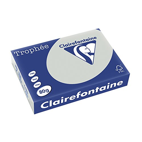 Clairefontaine 1993C - Ries Druckerpapier / Kopierpapier Trophee, Pastell Farben, DIN A4, 80g, 500 Blatt, Stahlgrau, 1 Ries von Clairefontaine