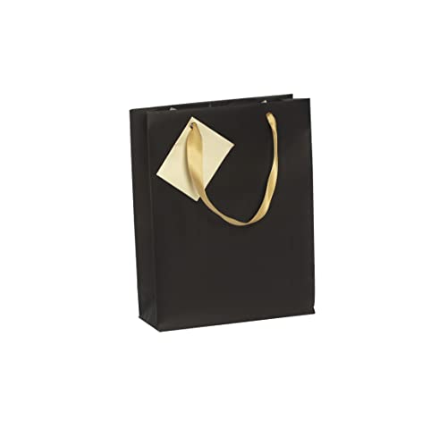 Clairefontaine 212885C - Geschenktasche Premium M 17x6x22cm, ideal für Bücher und Spielen, 1 Stück, Smaragd von Clairefontaine