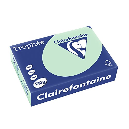 Clairefontaine 2210C - Ries Druckerpapier / Kopierpapier Trophee, intensive Farben, DIN A4, 210g, 250 Blatt, Kanariengelb, 1 Ries von Clairefontaine