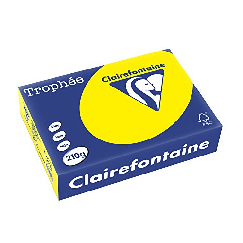 Clairefontaine 2223C - Ries Druckerpapier / Kopierpapier Trophee, intensive Farben, DIN A4, 210g, 250 Blatt, Hellgrün, 1 Ries Clairefontaine 2223C - Ries Druckerpapier / Kopierpapier Trophee, intensive Farben, DIN A4, 210g, 250 Blatt, Hellgrün, 1 Ries von Clairefontaine