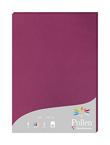 Clairefontaine 224206C Packung mit 25 Karten Pollen 210g, DIN A4, 21 x 29,7cm, Himbeerrosa von Clairefontaine