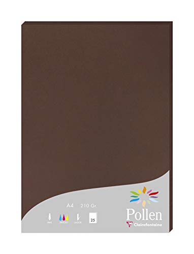 Clairefontaine 24202C Packung mit 25 Karten Pollen 210g, DIN A4, 21 x 29,7cm, Schokoladenbraun Clairefontaine 24202C Packung mit 25 Karten Pollen 210g, DIN A4, 21 x 29,7cm, Schokoladenbraun von Clairefontaine