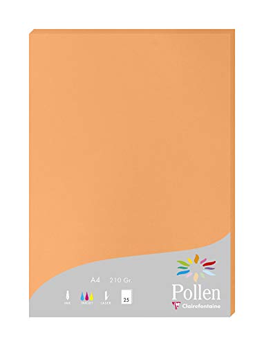Clairefontaine 24208C Packung mit 25 Karten Pollen 210g, DIN A4, 21 x 29,7cm, Clementine von Clairefontaine